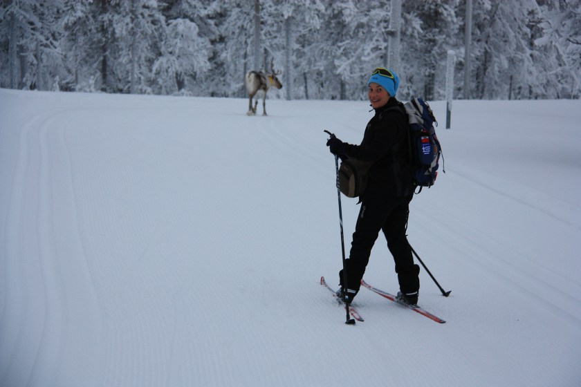Sci di fondo con le renne
