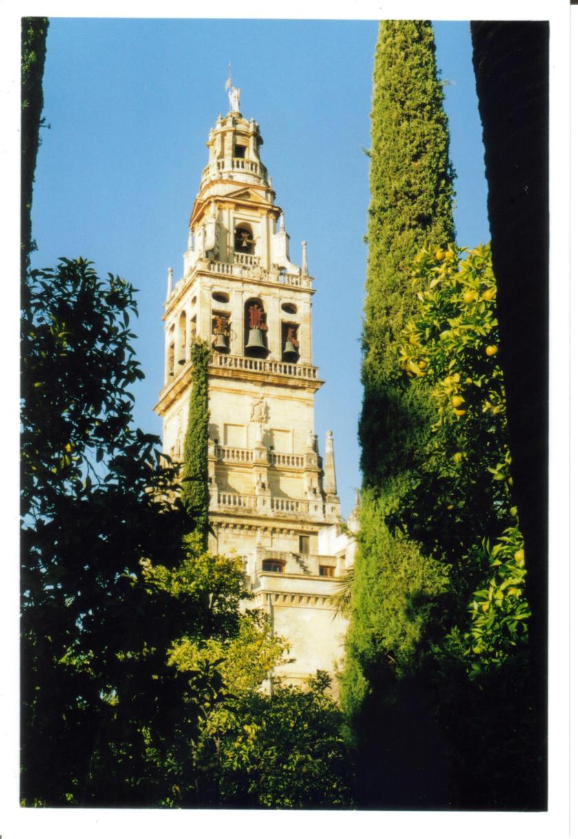 Patio della Mezquita Cordoba