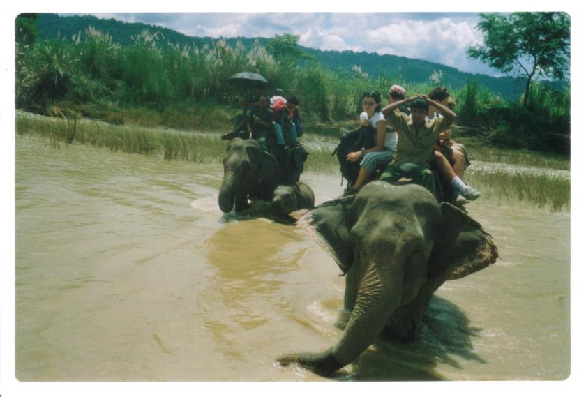 Trekking con elefanti al Chitwan NP