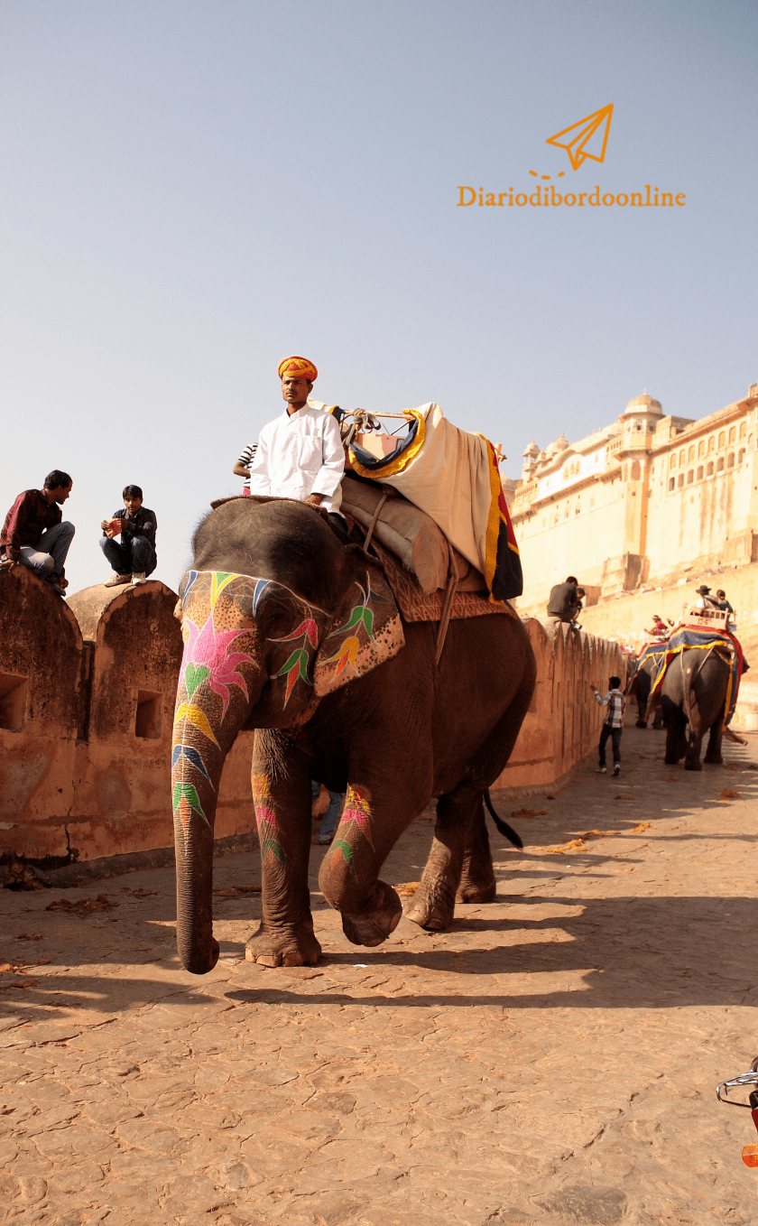 Amber Fort elephant ride
