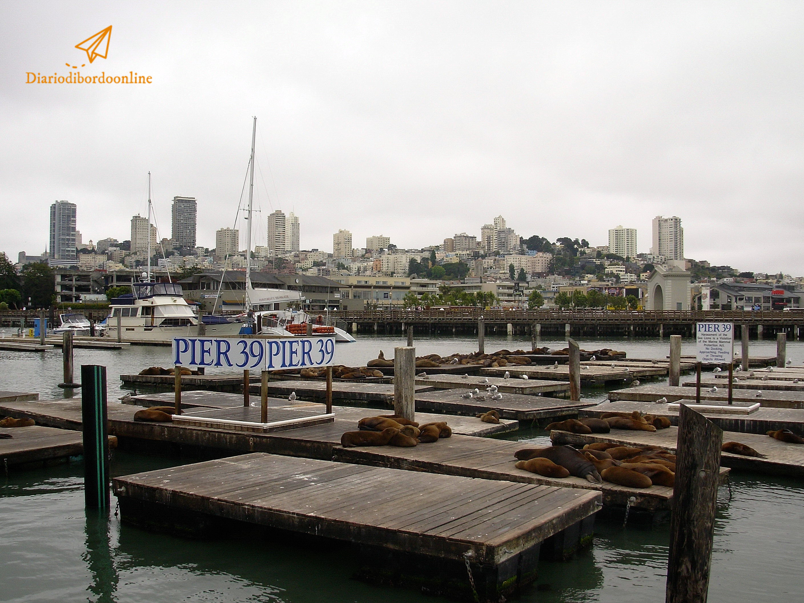 Pier 39 San Francisco