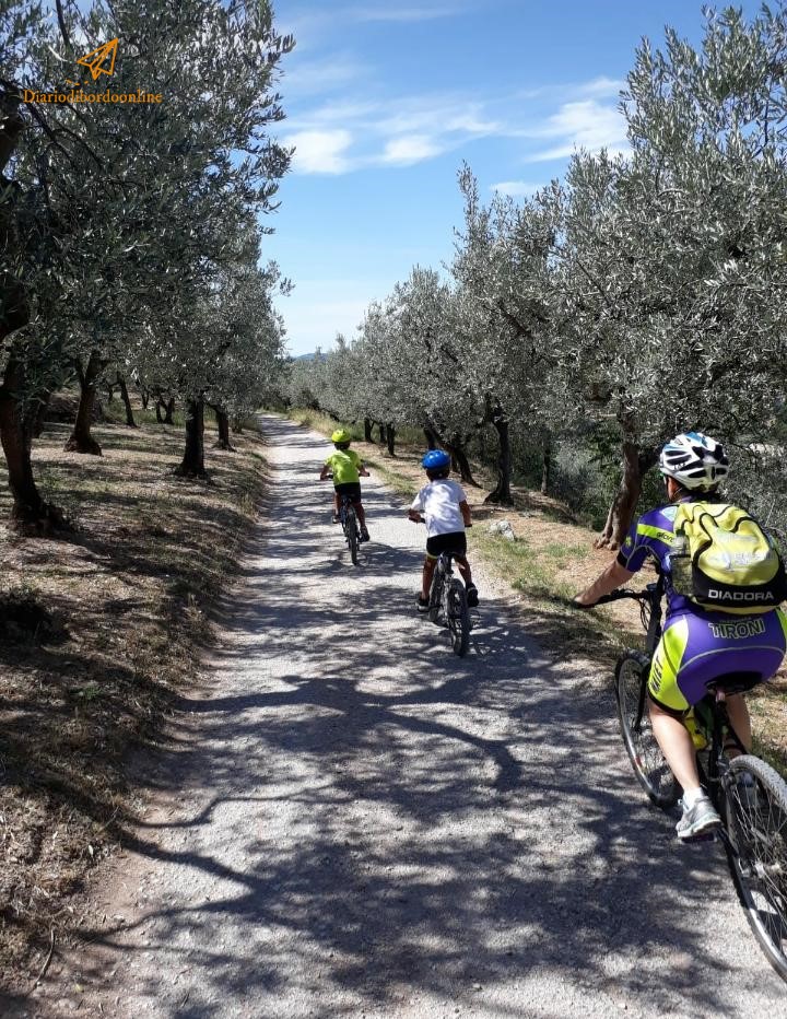 Tra gli ulivi in direzione di Spello