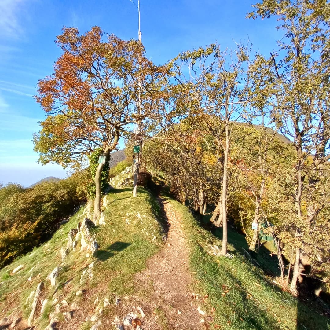 IMG_20211031_182634_108